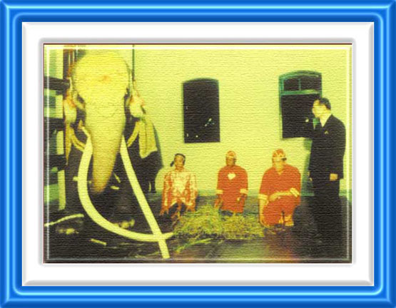 His Majesty King Rama IX visits a Royal White Elephant
